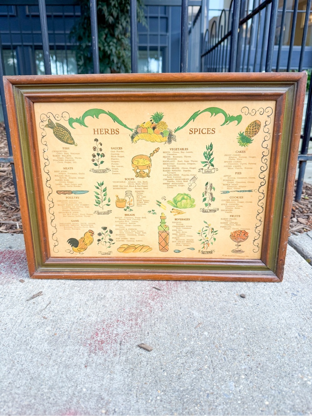 Vintage 1960s Wood Spice Rack with Herbs & Spices Chart Retro Mid Century MCM